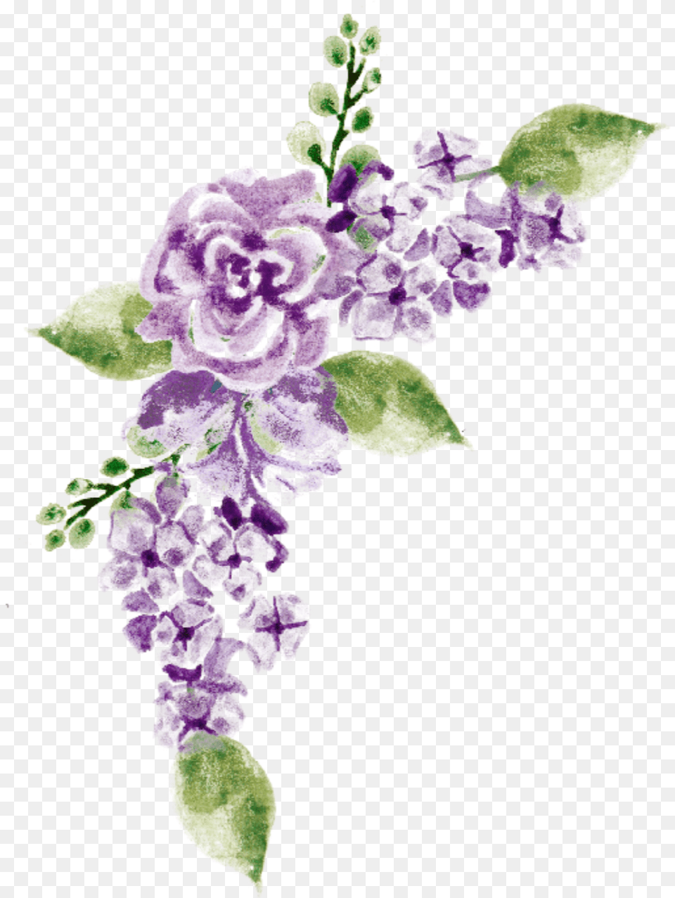 Watercolor Flowers Purple Lavender Bouquet Bunch Duranta, Flower, Plant, Flower Arrangement, Petal Png Image