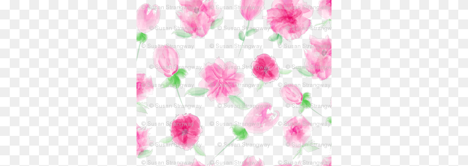 Watercolor Flowers Rose, Carnation, Flower, Petal, Plant Free Transparent Png