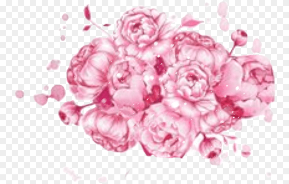 Watercolor Flowers Roses Pink Pastel Pretty Steffj Illustration, Carnation, Flower, Petal, Plant Free Png Download
