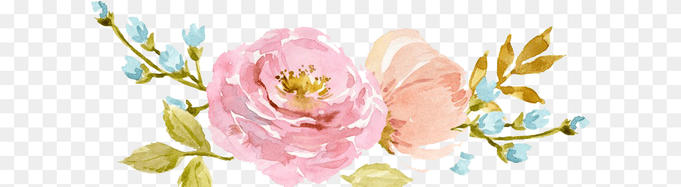 Watercolor Flowers Transparent 1 Transparent Flower Watercolor, Plant, Art, Floral Design, Graphics Free Png Download