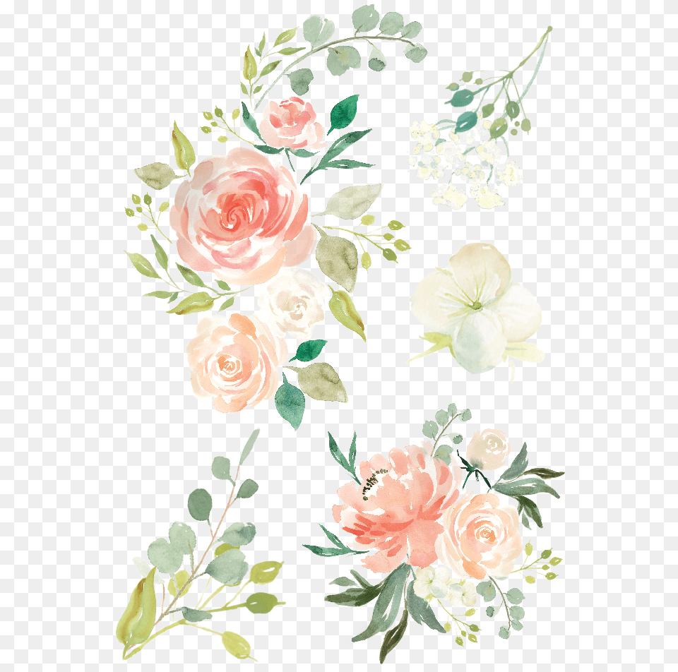 Watercolor Flowers Collections Watercolor Flower Vector, Art, Floral Design, Graphics, Pattern Free Transparent Png