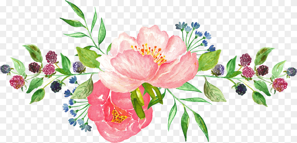 Watercolor Flowers Water Color Flower Free Transparent Png