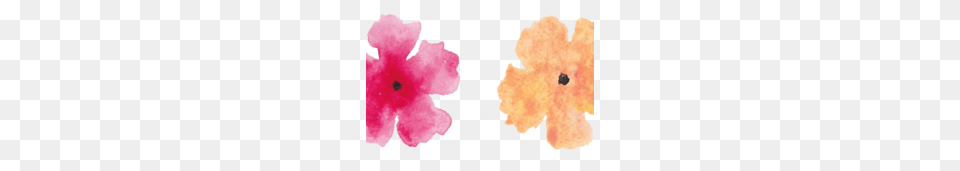 Watercolor Flowers Vector Clipart, Flower, Plant, Petal, Hibiscus Free Png