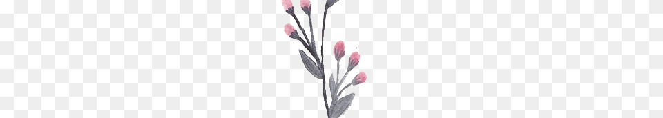 Watercolor Flowers Vector Clipart, Plant, Petal, Flower, Art Free Transparent Png