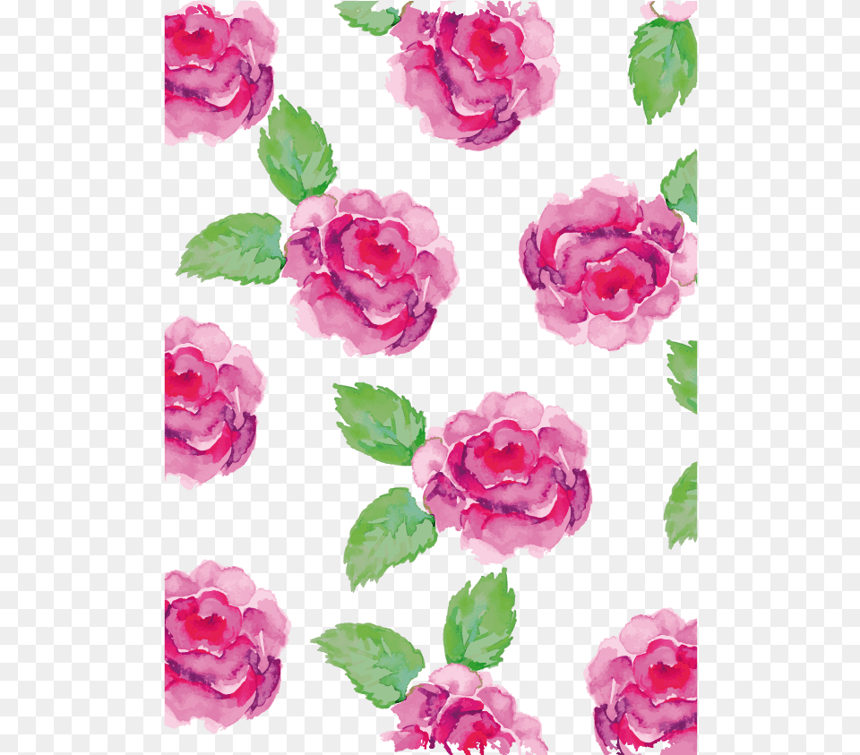 Watercolor Flowers Vectors Photos And Psd Files Frida Kahlo Flowers, Flower, Plant, Rose, Carnation Free Png