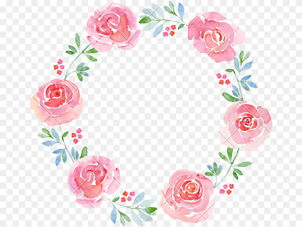 Watercolor Flowers Wreath, Flower, Pattern, Plant, Rose Free Transparent Png