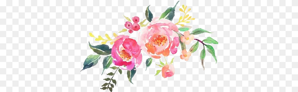 Watercolor Flowersfloreskpopeditnoesmiarteclipart Watercolor Flowers Clipart, Art, Floral Design, Flower, Graphics Png Image