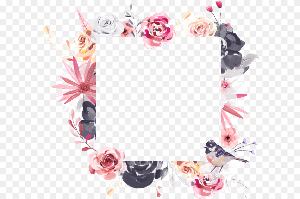 Watercolor Frame Background Floral Frame, Rose, Plant, Flower, Collage Free Png Download