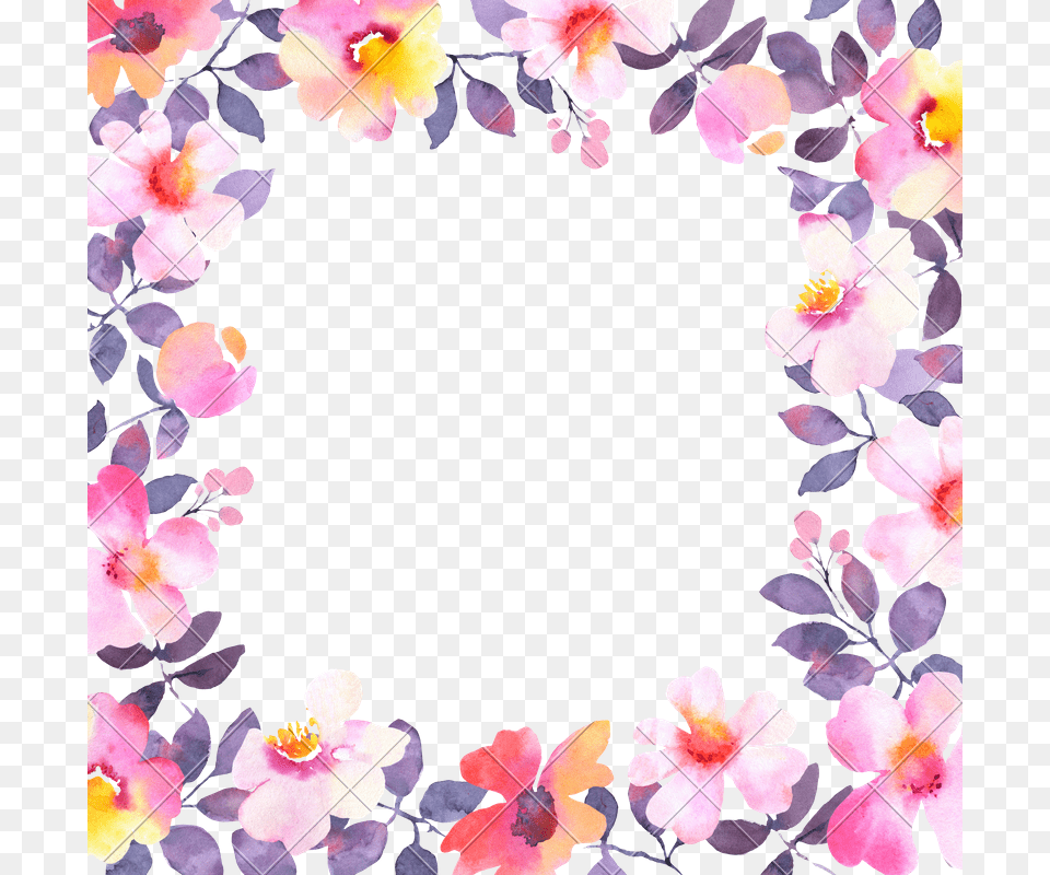 Watercolor Frame Square Flower Frame, Petal, Plant, Hibiscus Png