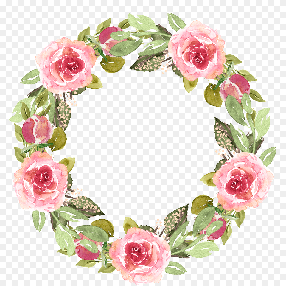 Watercolor Garland Texture Download Vector, Flower, Plant, Rose, Pattern Free Png