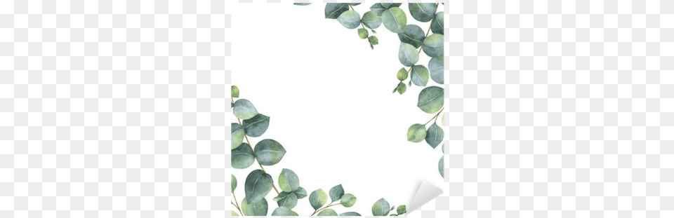 Watercolor Green Floral Card With Silver Dollar Eucalyptus Eucalyptus Leaves Background, Leaf, Plant, Vine Free Png Download