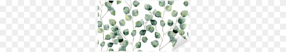 Watercolor Green Floral Seamless Pattern With Eucalyptus Eucalyptus Background, Leaf, Plant, Vine, Accessories Free Png