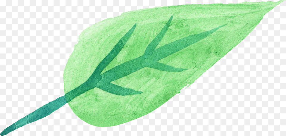 Watercolor Green Leaves Transparents, Leaf, Plant, Weapon, Trident Free Transparent Png