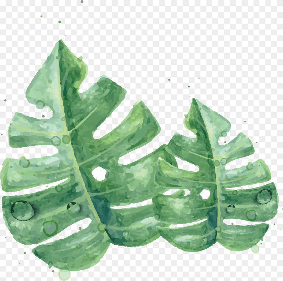 Watercolor Green Skin Painting Clipart Clipart Watercolor Green Leaf, Plant Png