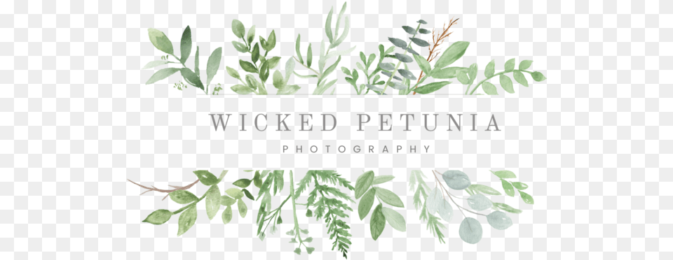 Watercolor Greenery Clipart, Vegetation, Plant, Leaf, Herbs Png Image
