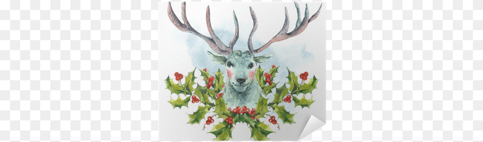 Watercolor Greeting Card Snow White Deer With Holly Howard Arman Christmas Surprises Cd, Animal, Mammal, Wildlife, Antler Free Png Download