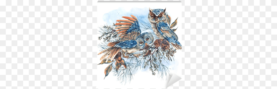 Watercolor Greeting Card With Owls Spruce Branches Watercolor Painting, Art, Animal, Bird, Drawing Png