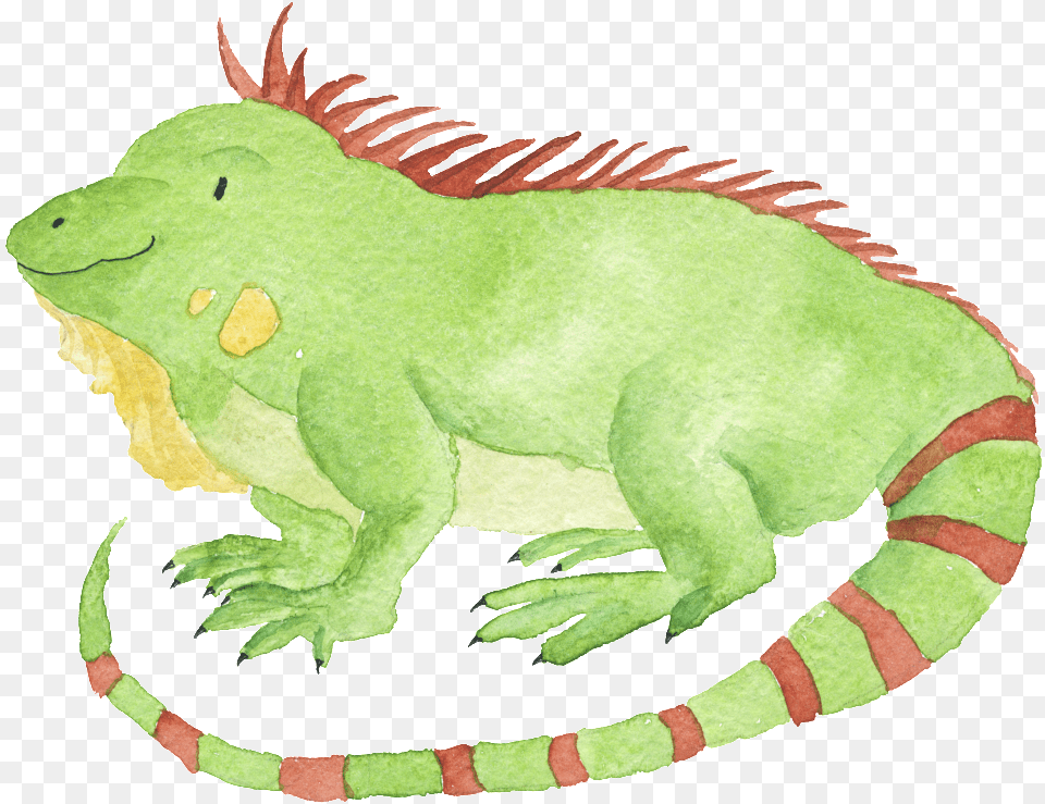 Watercolor Hand Drawn Animal Iguana Illustration Drawing, Lizard, Reptile Free Png Download