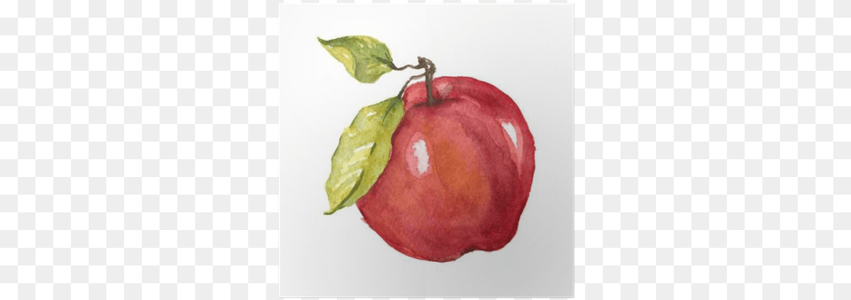 Watercolor Hand Drawn Apple Poster Apple Fruit Drawing Watercolor, Food, Plant, Produce Png