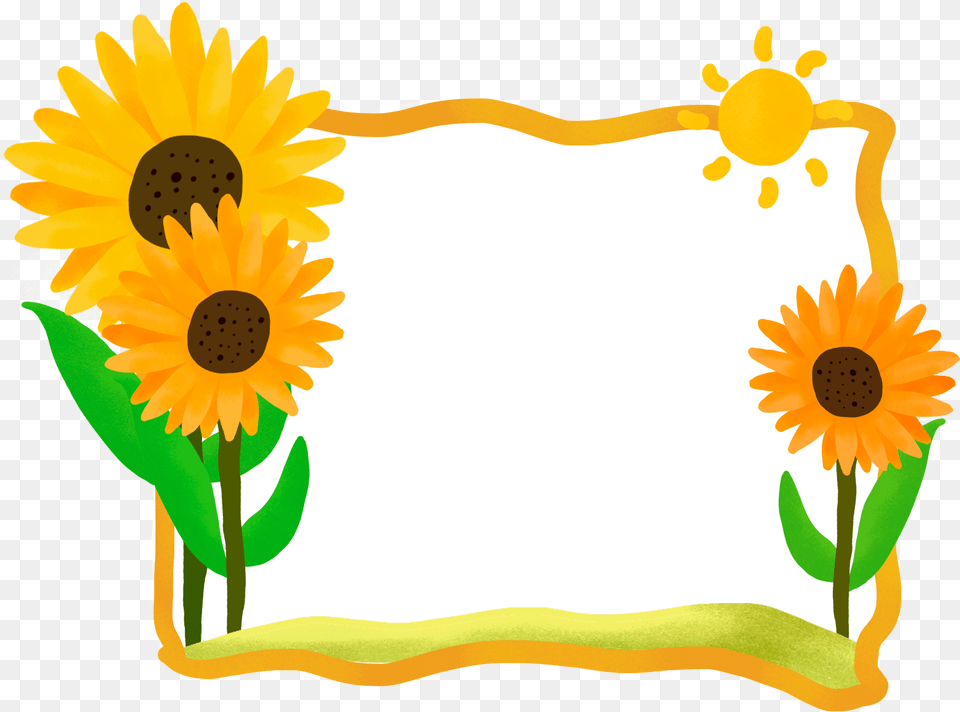 Watercolor Hand Painted Imagem Girassol, Daisy, Flower, Plant, Sunflower Free Transparent Png