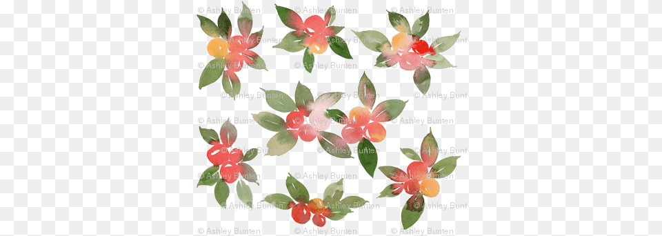 Watercolor Holly Berry Silver Buffaloberry, Flower, Petal, Plant, Accessories Free Png Download