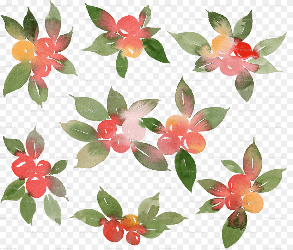 Watercolor Holly Berry Wallpaper Impatiens, Accessories, Flower, Plant, Petal Png Image