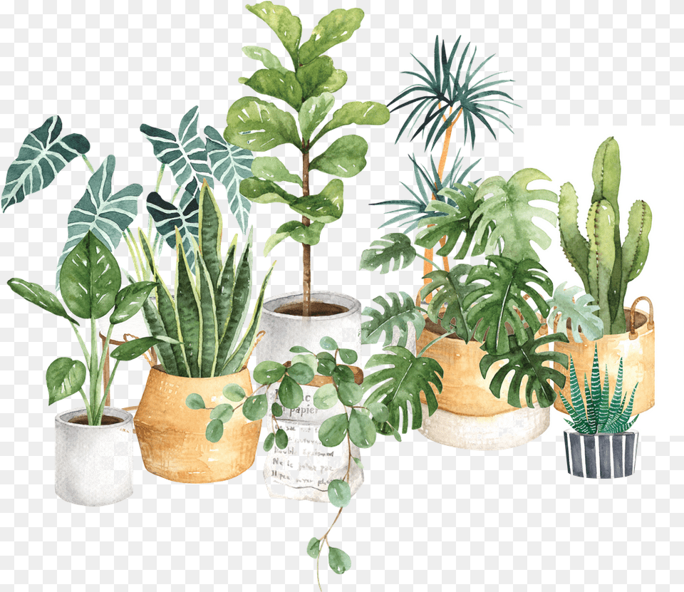 Watercolor House Plants Potted Watercolor House Plants, Leaf, Plant, Potted Plant, Jar Free Transparent Png
