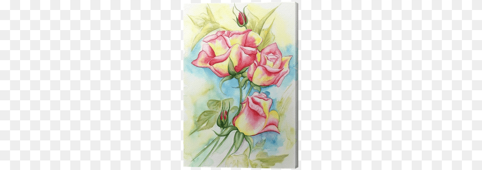 Watercolor Illustration Of A Beautiful Roses Flowers Watercolor Painting, Art, Floral Design, Graphics, Pattern Free Transparent Png