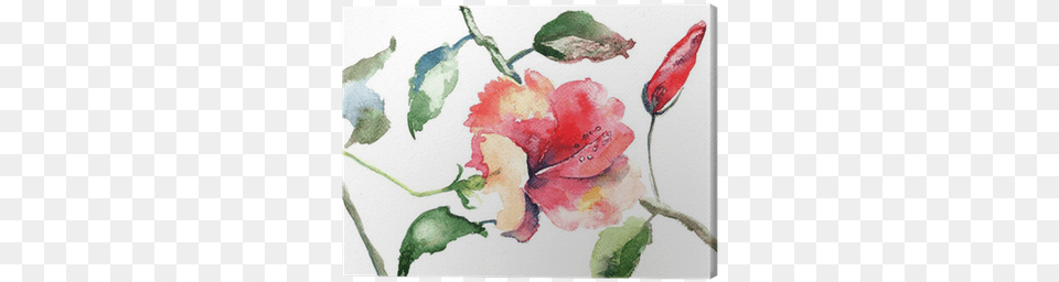 Watercolor Illustration Of Beautiful Flowers Canvas Photography, Flower, Plant, Art, Painting Free Png Download