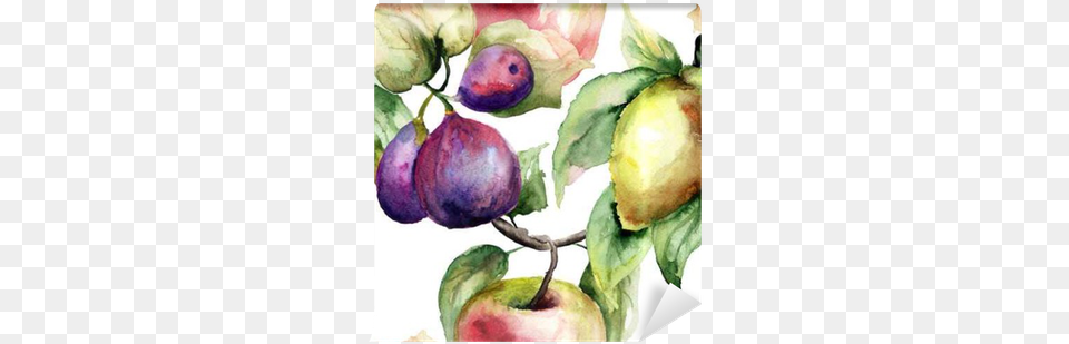 Watercolor Illustration Of Fruits Wall Mural Pixers Watercolor Painting, Food, Fruit, Plant, Produce Png