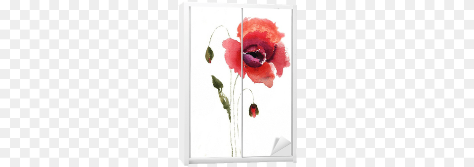 Watercolor Illustration Of Red Poppy Flower Wardrobe Hobbitholeco 39red Tall Flowers Ii39 Multicolored Canvas, Plant, Art, Painting Png