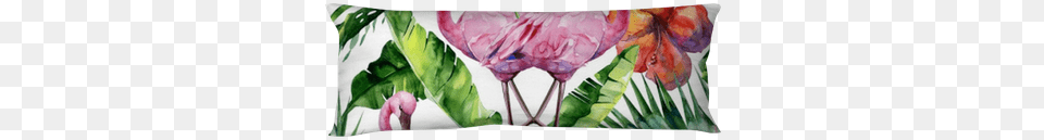 Watercolor Illustration Of Tropical Pink Flamingo Bird Watercolor Painting, Animal Free Png