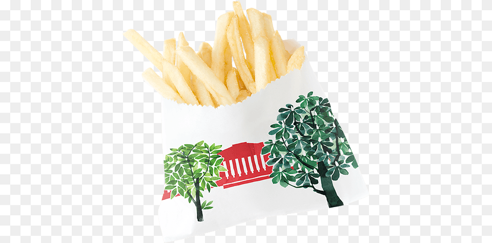 Watercolor Illustrations Look Great On Any Object Park Shevchenko Lebedev, Food, Fries, Plant Png
