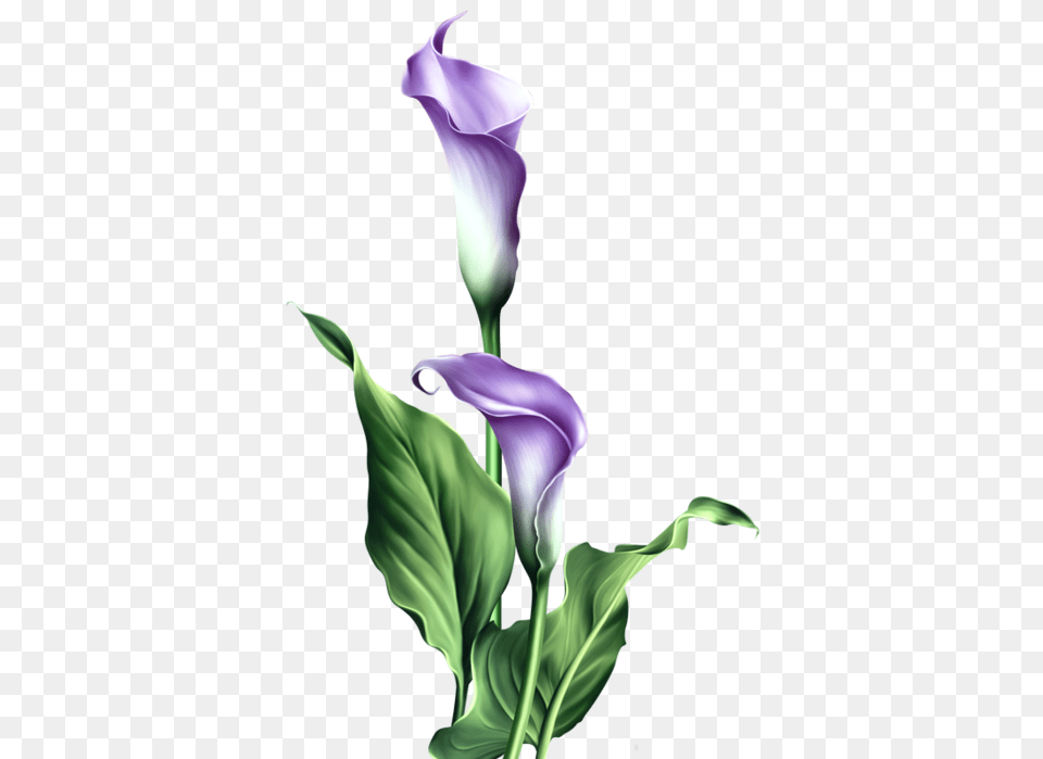 Watercolor In Flowers Painting, Flower, Plant, Purple, Petal Free Png
