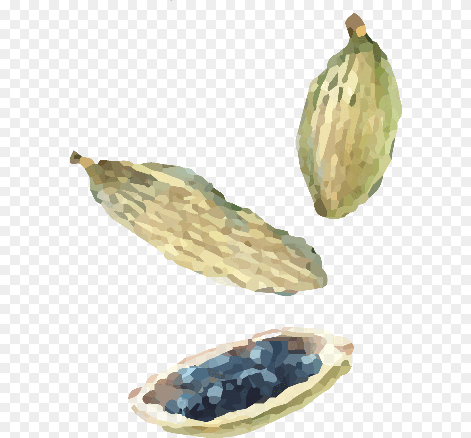 Watercolor Indian Cuisine Seeds Horned Melon, Food, Cardamom, Spice, Smoke Pipe Png