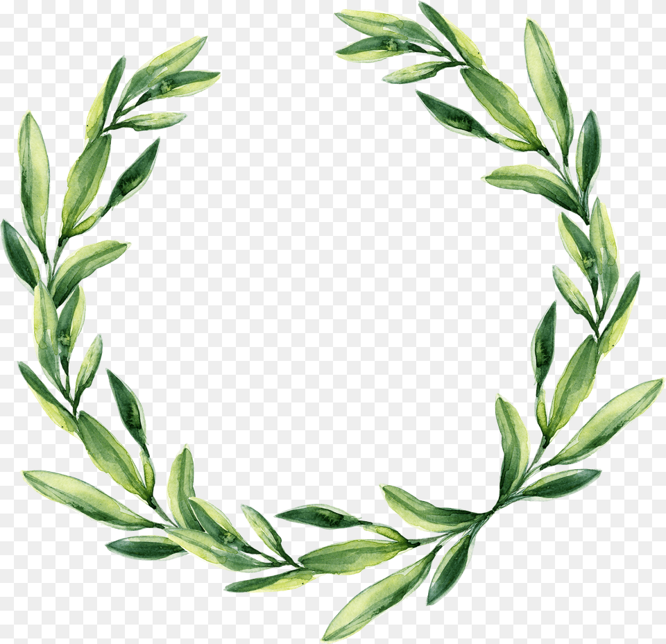 Watercolor Laurel Transparent Green Leaf Wreath Clipart Free Png