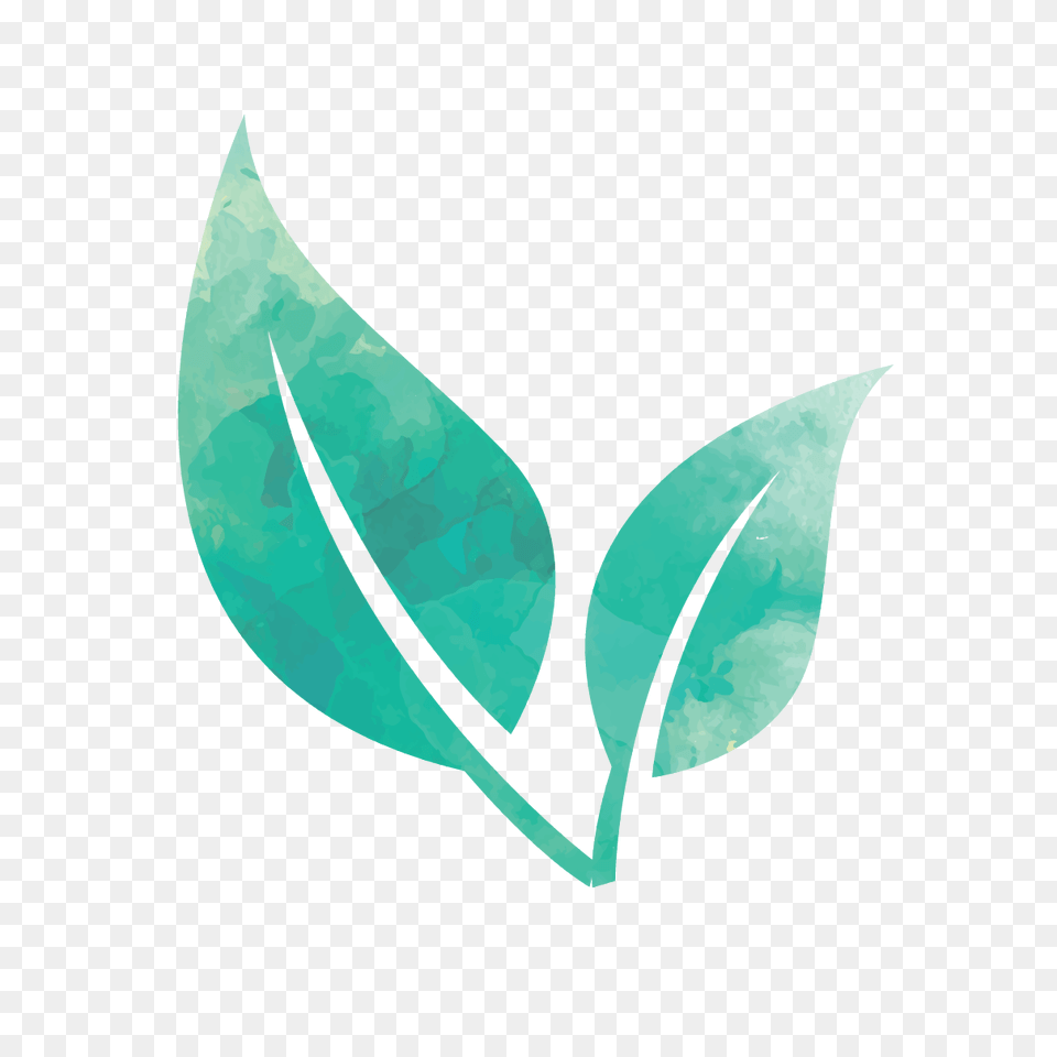 Watercolor Leaf, Herbal, Herbs, Plant Free Png