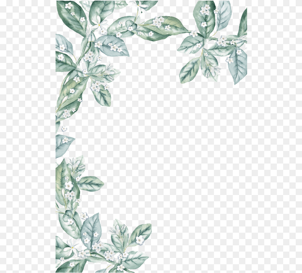 Watercolor Leaf Border, Plant, Outdoors, Flower, Nature Free Png