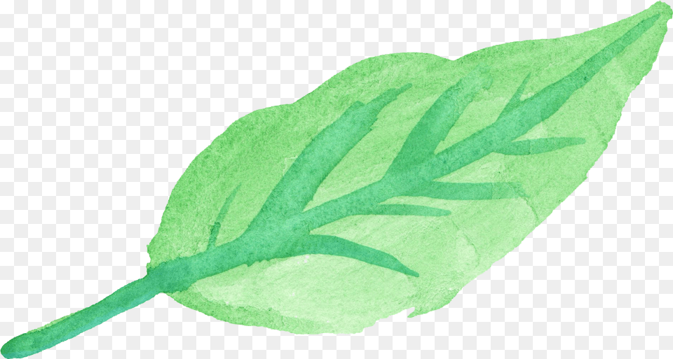 Watercolor Leaf Transparent Green Watercolor Leaf, Plant, Herbal, Herbs Free Png