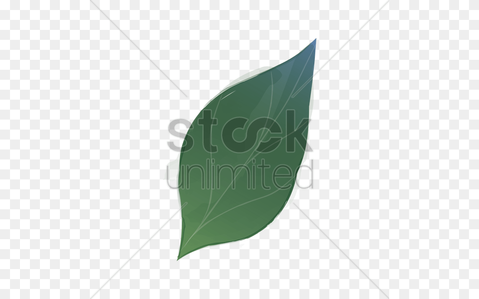 Watercolor Leaf Vector Image, Plant, Droplet Free Png Download