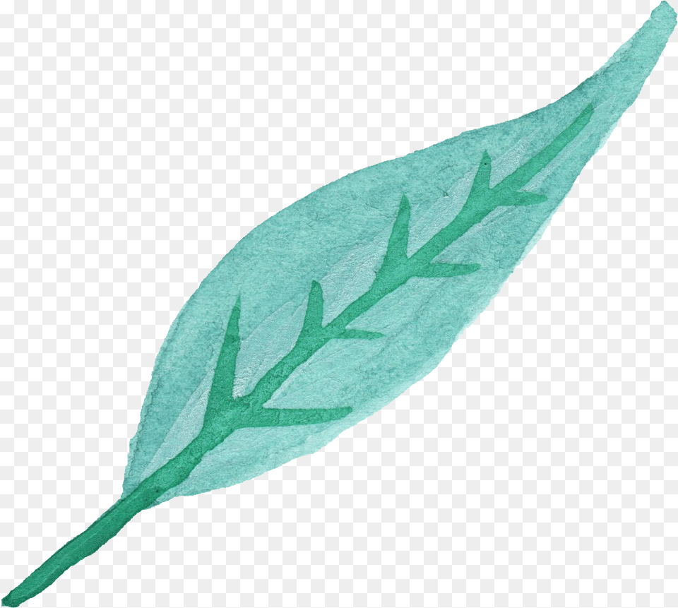 Watercolor Leaf Vol Blue Leaves, Plant, Arrow, Arrowhead, Weapon Free Png
