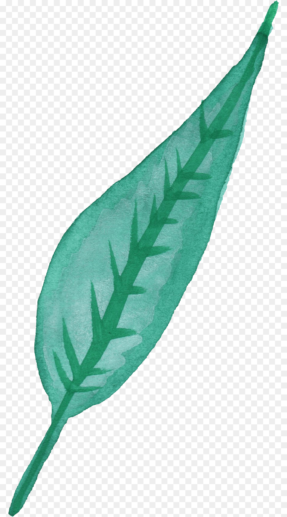 Watercolor Leaf Vol Pink Watercolor Leaves Background, Plant, Flower, Annonaceae, Tree Free Transparent Png