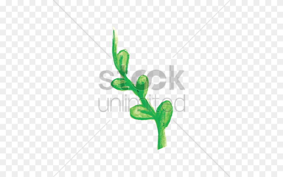 Watercolor Leaves Vector, Bud, Flower, Leaf, Plant Png Image