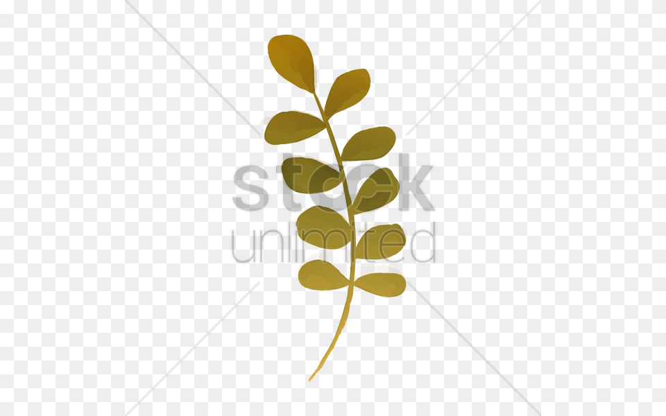 Watercolor Leaves Vector, Leaf, Plant, Flower, Astragalus Free Transparent Png