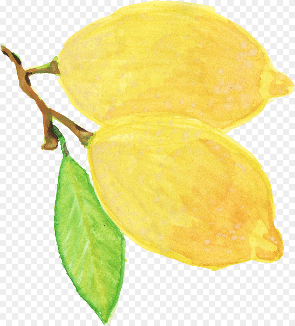 Watercolor Lemon Onlygfxcom Watercolor Yellow Flower, Citrus Fruit, Food, Fruit, Leaf Free Transparent Png