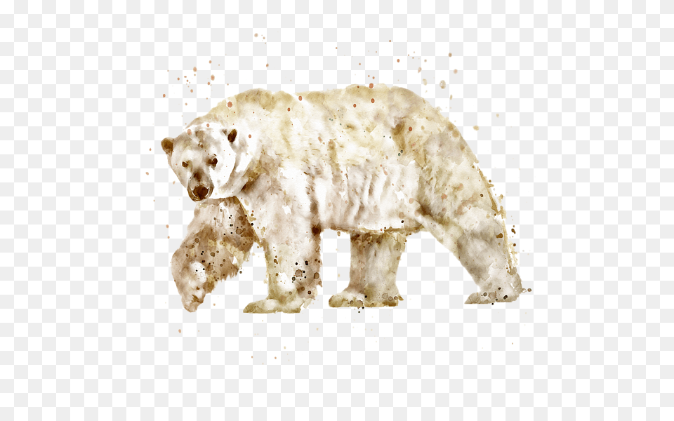 Watercolor Marian Voicu Transparent Transparent Animal Watercolor, Bear, Mammal, Wildlife, Polar Bear Png