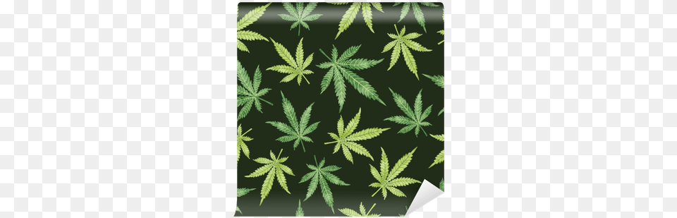 Watercolor Marijuana Leaves On Dark Cannabis, Leaf, Plant, Weed, Hemp Png