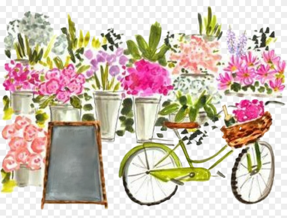 Watercolor Market Bike Bicycle Chalkboard Spring Prints Evelyn Henson Background, Flower Arrangement, Plant, Potted Plant, Flower Bouquet Free Png