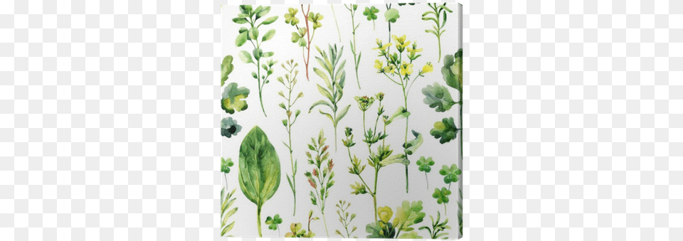 Watercolor Meadow Weeds And Herbs Seamless Pattern Herbs Background, Art, Floral Design, Graphics, Herbal Png