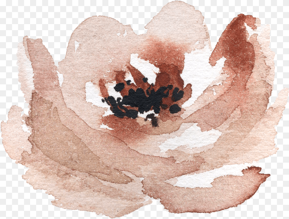 Watercolor Paint, Plant, Petal, Flower, Adult Free Transparent Png